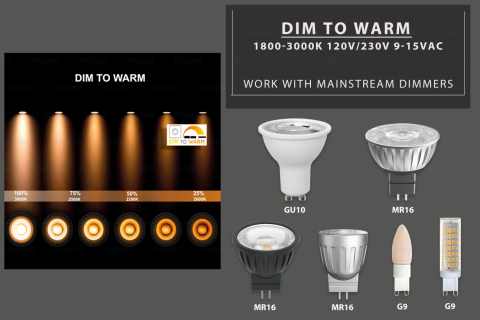 dim to warm11