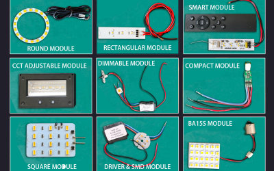 module